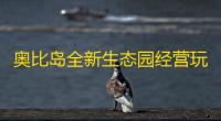 奥比岛全新生态园经营玩法上线
！「糖水铺」活动今日开启
